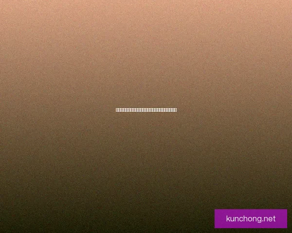 合成丸丸子制作方法与创新发展探索打造美味健康新选择