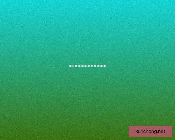 无冬之夜2修改器全功能解析与使用指南，助你畅游冒险世界