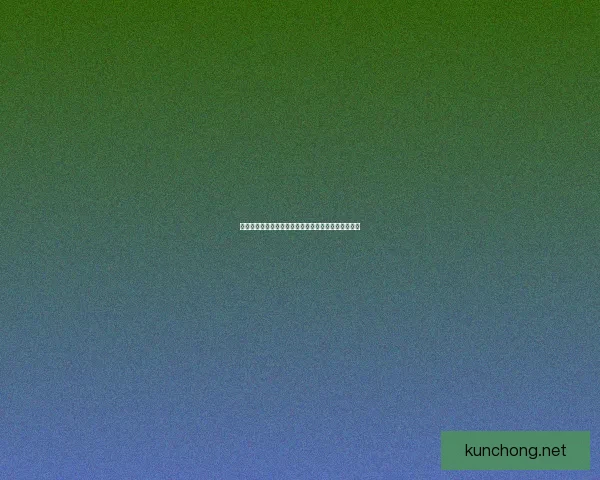 狂战士装备全解析：从武器选择到防具搭配的全面指南