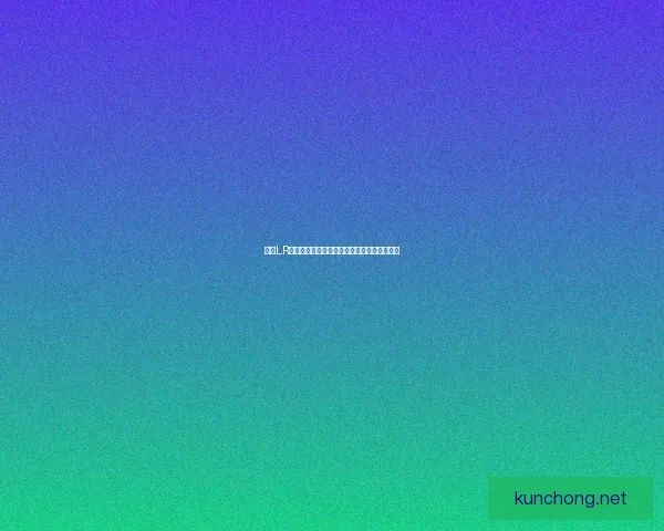 基于LR输出手法优化的图像处理技术研究与应用探索